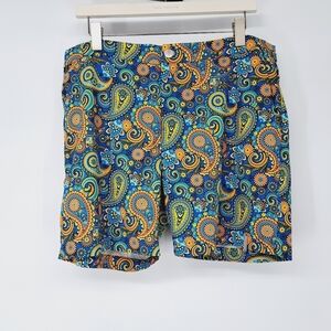 Argyle Grant Retro Paisley Print Beach to Brunch Swim Shorts‎ Size 36